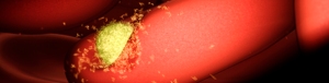 Malaria parasite burrowing into a red blood cell. From project website.